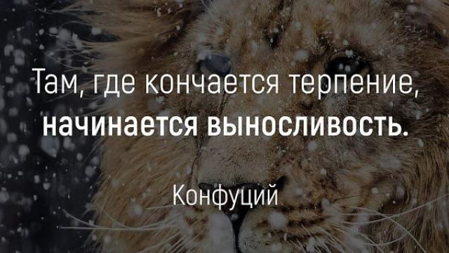 ТЕРПЕНИЕ КОНЧИЛОСЬ И СИЛЫ НА ИСХОДЕ...