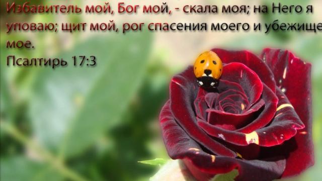 Псалом 17 "ГОСПОДЬ - ТВЕРДЫНЯ МОЯ И ПРИБЕЖИЩЕ МОЁ"