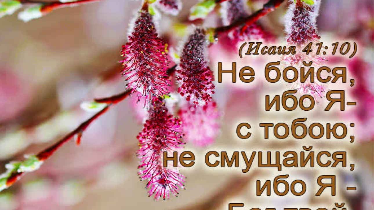 День 03(1) "ПОСТУПАЙ ПРАВИЛЬНО С САМОГО НАЧАЛА"