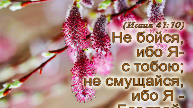 День 03(1) "ПОСТУПАЙ ПРАВИЛЬНО С САМОГО НАЧАЛА"