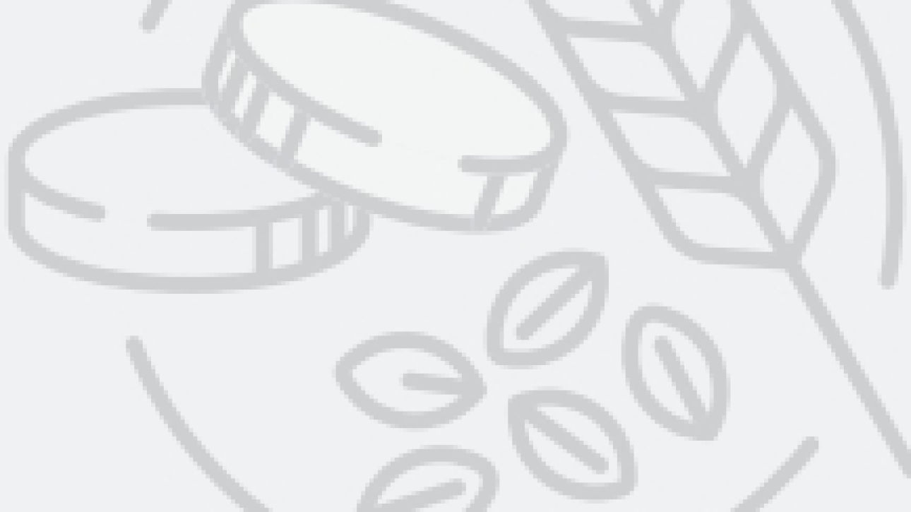 ИИСУС И СВОБОДА