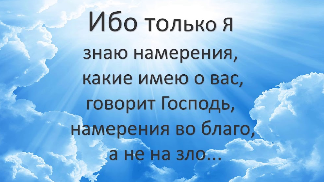 День 16(1) "СПАСЁННАЯ ИЗ - ПОД КОЛЁС?