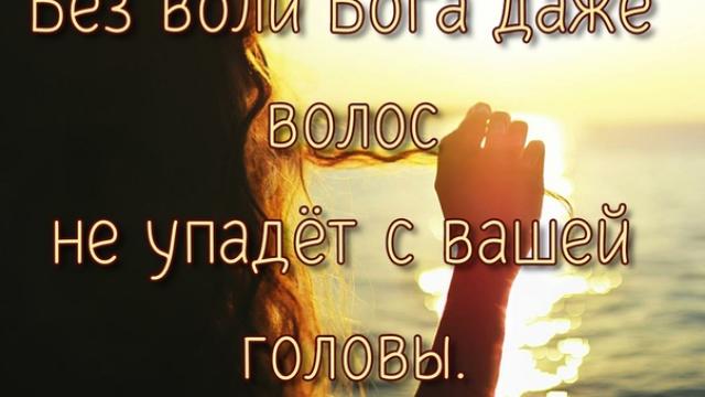 День 17(2) "ВСЁ ДЕЛО В ВОЛОСАХ"
