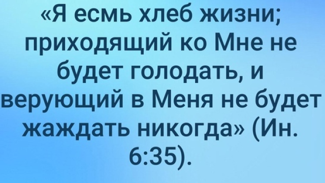 День 20(2) "МУХА В СУПЕ"