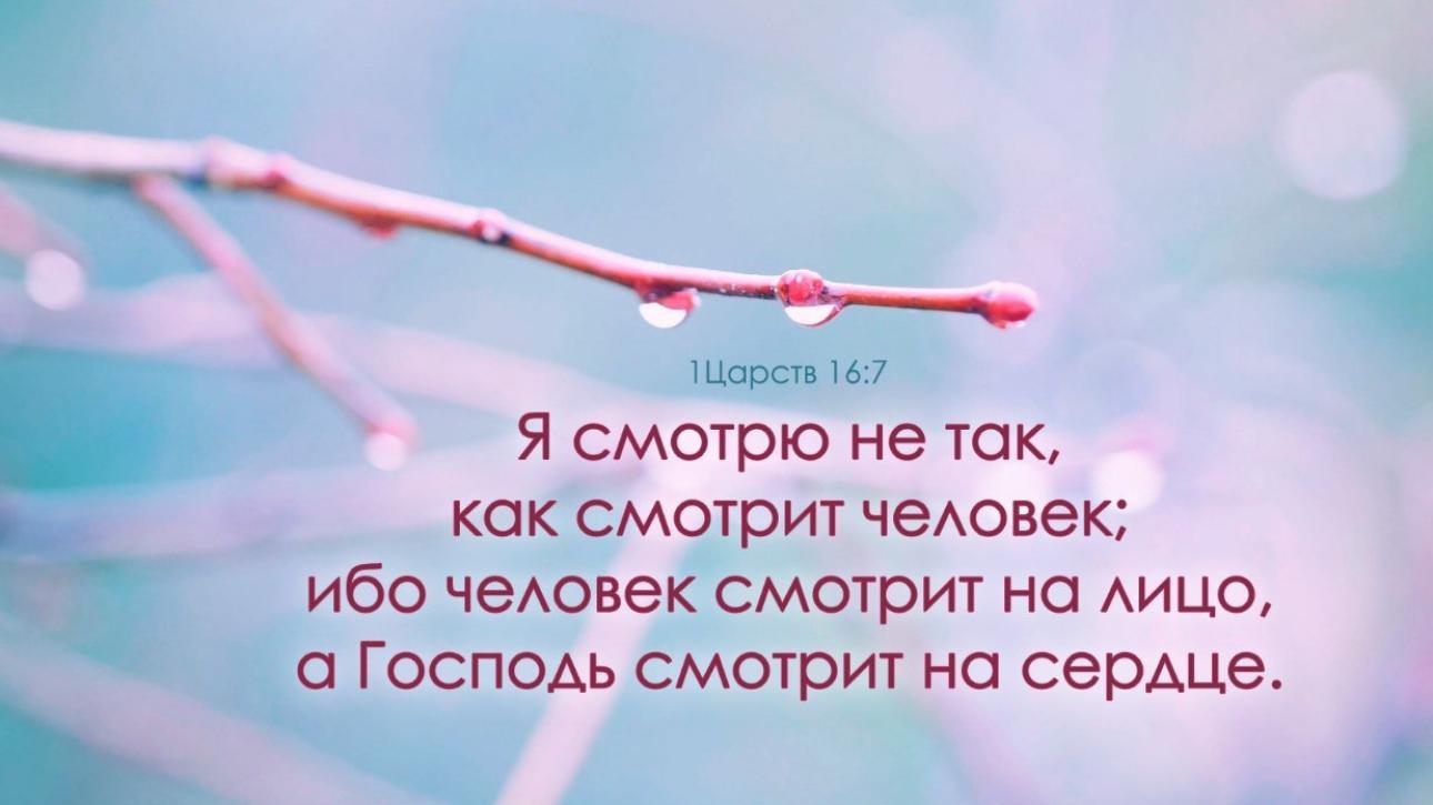 День 22(2) "СМОТРИ, КАК СМОТРИТ БОГ"