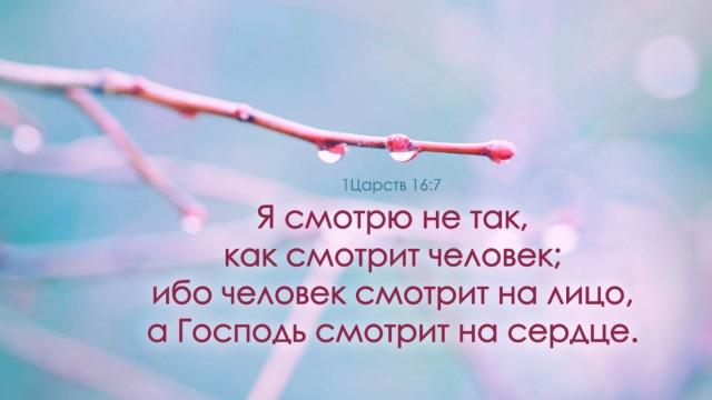 День 22(2) "СМОТРИ, КАК СМОТРИТ БОГ"