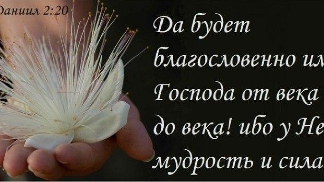 День 14(2) "ДАЮЩИЙ МУДРОСТЬ"