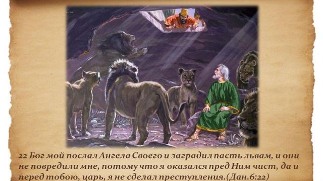 День 18(2) "УКРОТИТЕЛЬ ЗВЕРЕЙ"