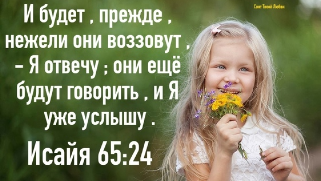 День 23(2) ЧЕРВЯКИ И ПТИЦЫ"