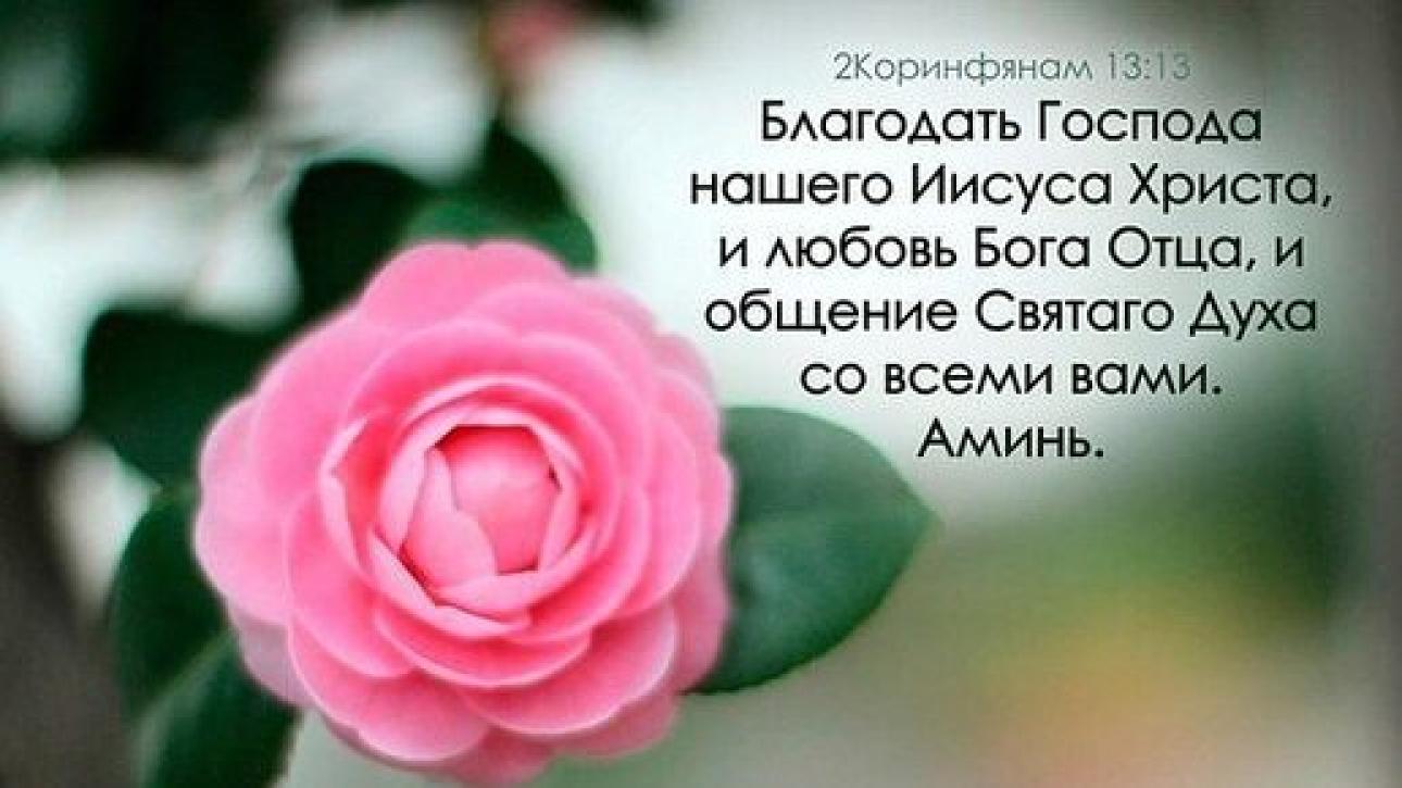 День 09 "УКАЗУЮЩИЙ ЖЕСТ ВЕРЫ"