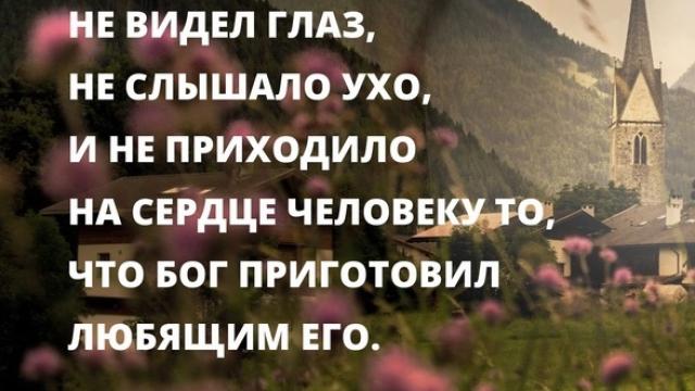 День 27 "НЕ ВИДЕЛ ТОГО ГЛАЗ"